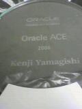 Oracle Ace盾